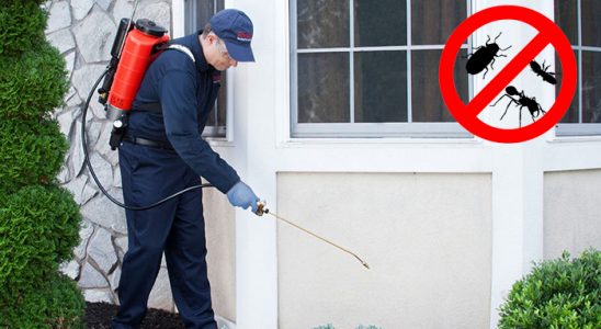 Gölcük Pire İlaçlama böcek ilaçlama ve haşere kontrolü — ilaclama-tr.com